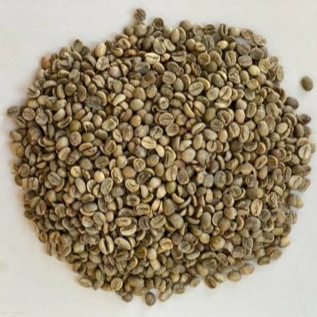
Competitive Price Cau Dat Robusta Green Coffee Bean Honey Process Dry Process As Requirment 