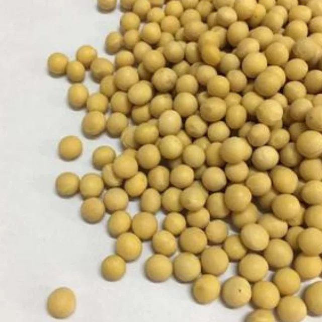 
FRESH CANNED WHITE SOYA BEANS FOR SALE AT WHOLE SALE PRICES 