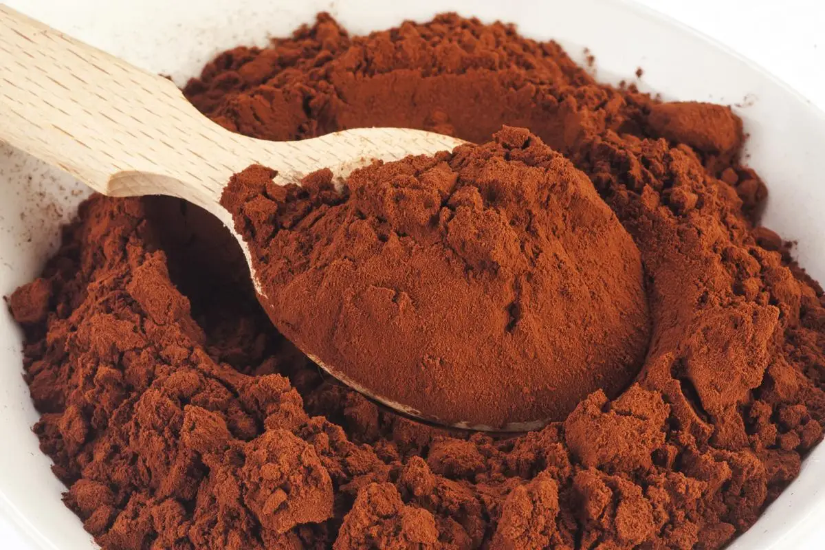 Low fat 100% Pure Raw Cocoa Powder - Top Supplier Good Price Of Cocoa Powder