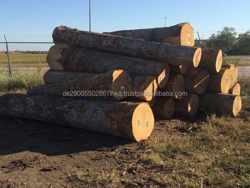 White_OAk_3SC_Saw_Logs_A.jpg