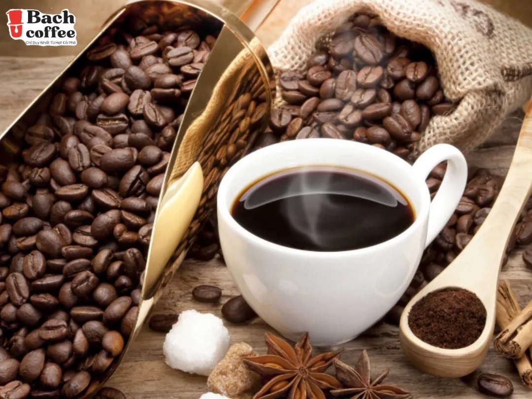 
100% Peaberry Coffee Beans / Light- Medium Roast -Fresh Roasted Coffee / Direct-trade / Hand- Picked and Small Batch. 