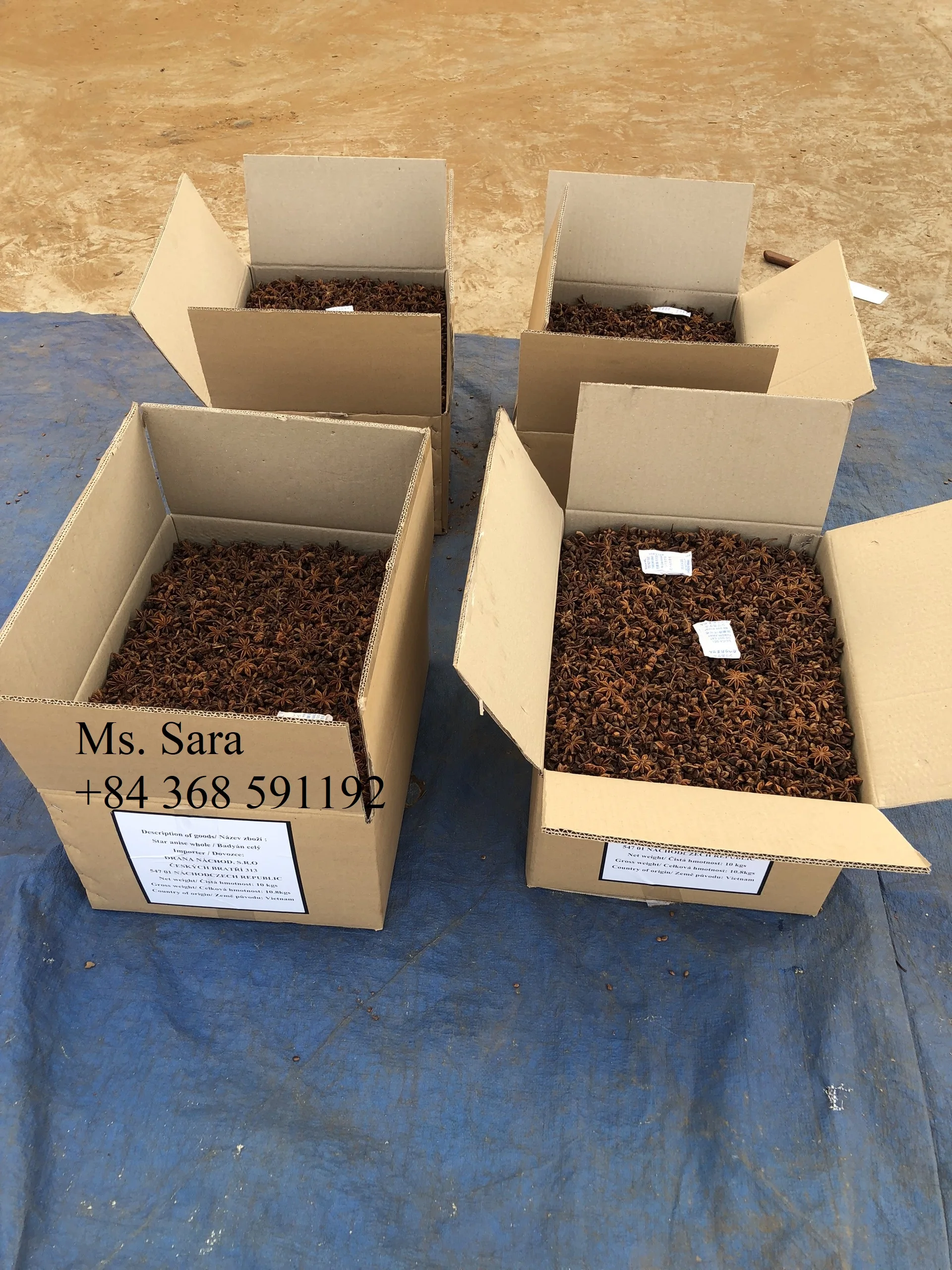 WS +84359166896 No.1 Vietnamese Star Anise With High Oil Content And Super Dry Ready To Ship New Crop Best Choice Good Price