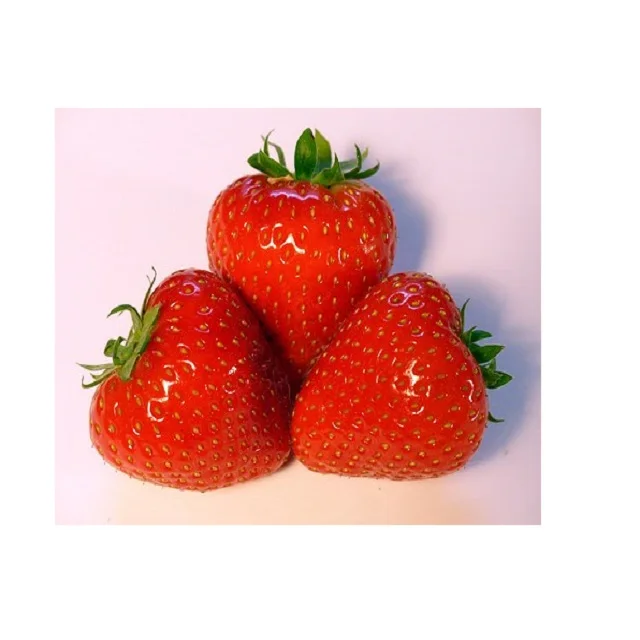 100% natural FD strawberry/dry strawberry, delicious snack fruit