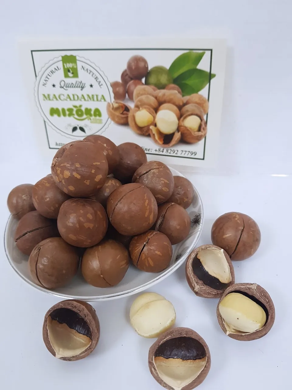 
macadamia nuts original from Vietnam macadamia high quality 2021 