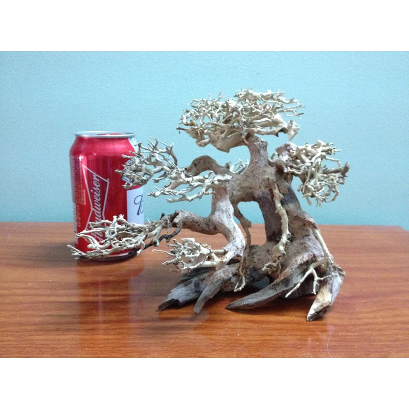 2024 популярные товары аквариума аксессуары для бонсай коряги украшения WhatsApp + 84 961005832