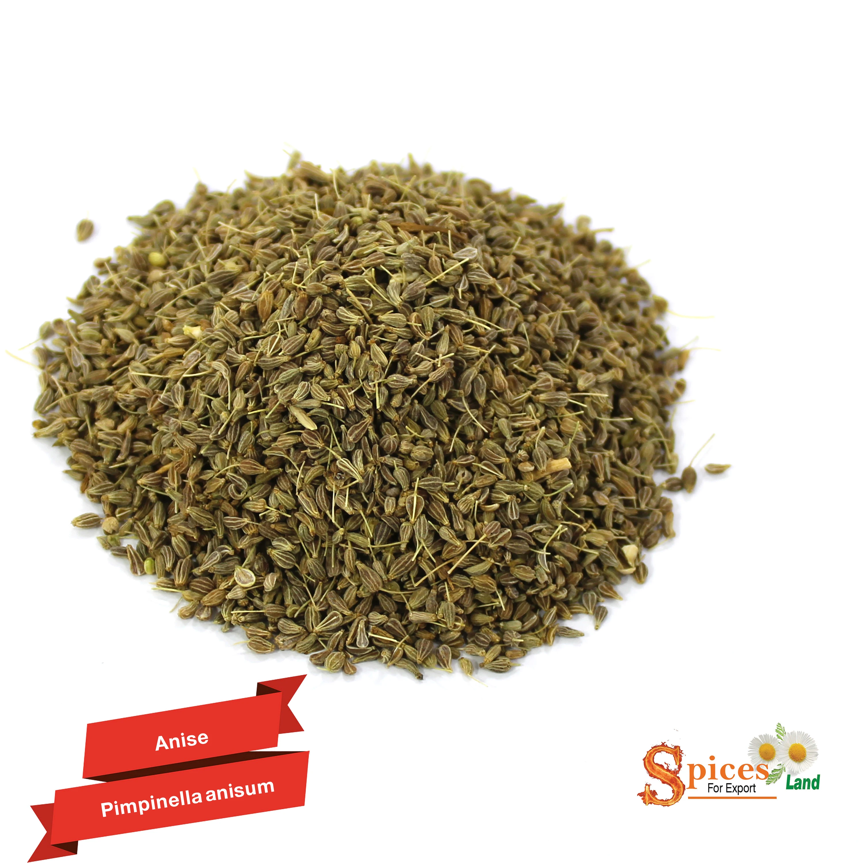 Herbs & Seeds & Spices