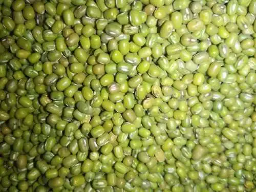 Горячая Распродажа Высококачественная зеленая фасоль мунг для пищевых продуктов
