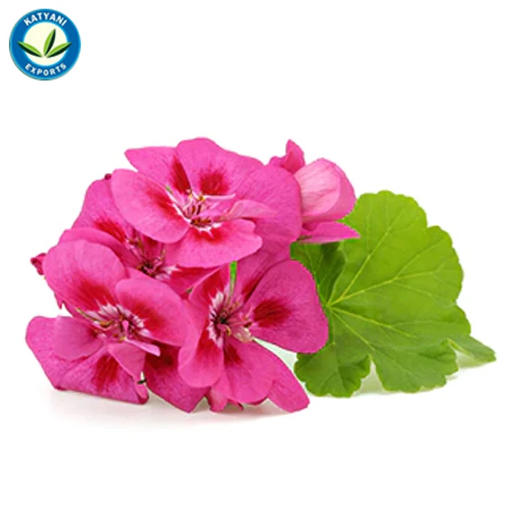 OEM Manufacturer Best Quality 100% Pure Organic Natural Geranium Flower Essential Oil from India