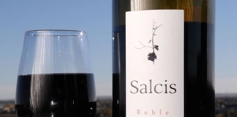 Singapore Supplier High Quality Red Wine 14.5% Alcohol Content Spanish Table Wine Cheap Price Salcis Roble Dry Taste from Spain