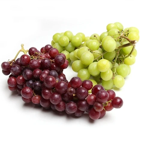 Delicious red and green seedless Fresh Grapes Available