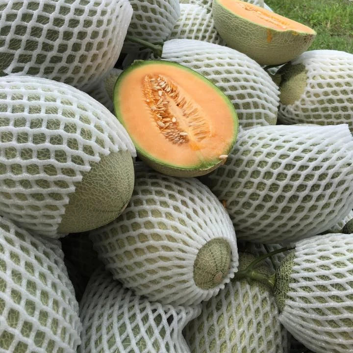 
Fresh Melons 