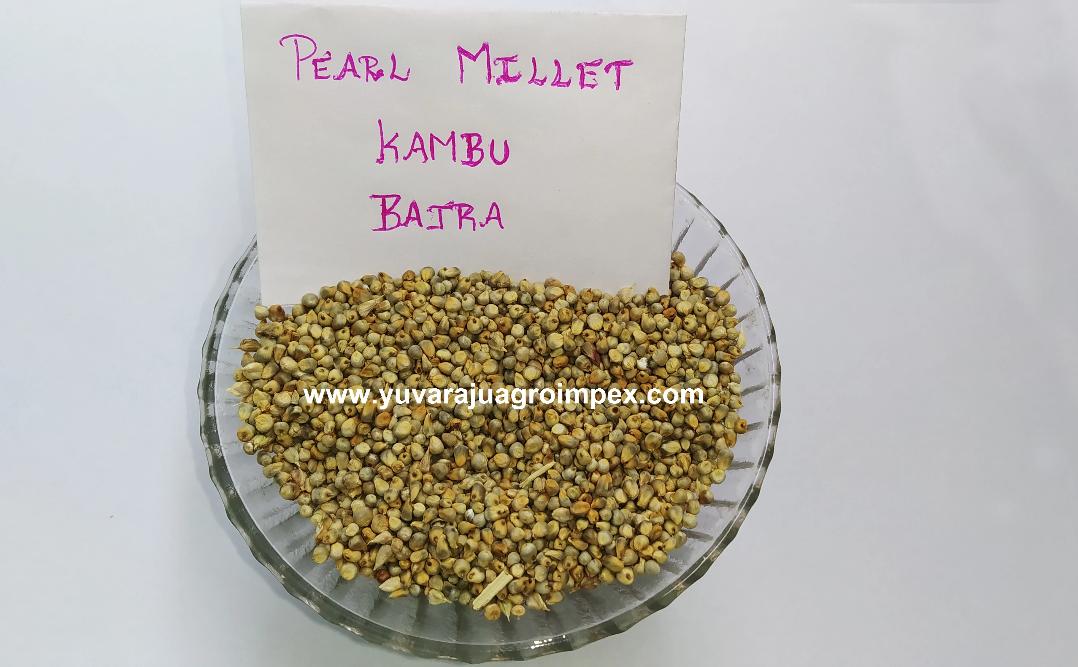 Жемчужные семян пса/лучшее качество экспорт пса в Индии