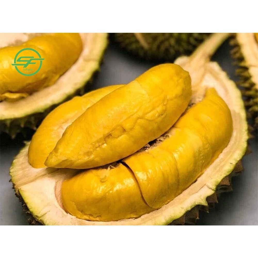 High quality durian fruit from Vietnam - Wholesale durian fresh (Whatsapp/zalo/wechat: +84 912 964 858)