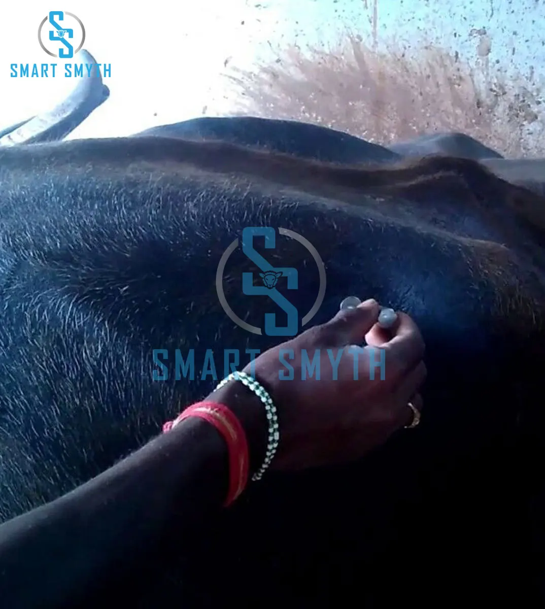 2021 Customized Best Design Trocar Cannula Veterinary Equipment Surgical Instruments