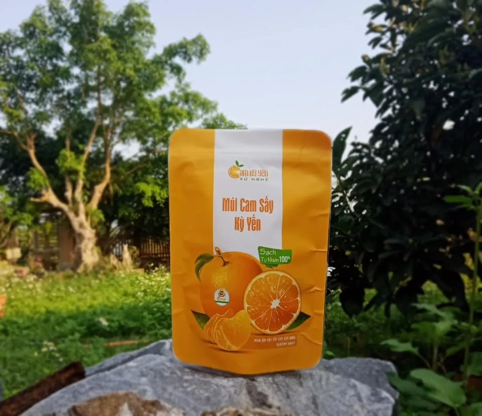 Wholesale Price Sweet And Sour Delicious Bulk Fresh Organic Dried Oranges exported from Vietnam Supplier