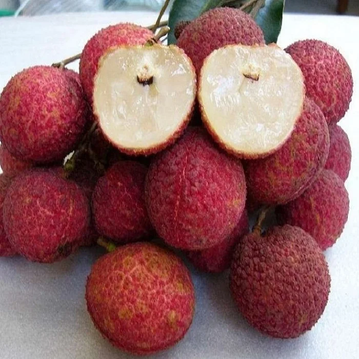 Лидер продаж, тропические свежие фрукты личи во вьетнаме с супер маленькими семенами, отличный вкус, готовый к экспорту