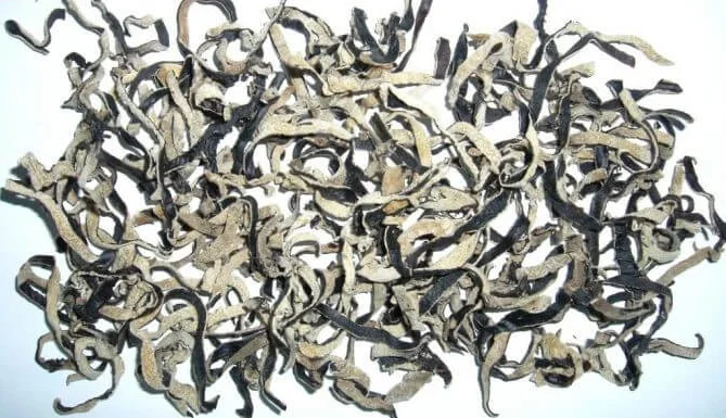 Высококачественные деревянные ушные грибы из Вьетнама/Whatsapp + 0084896612931