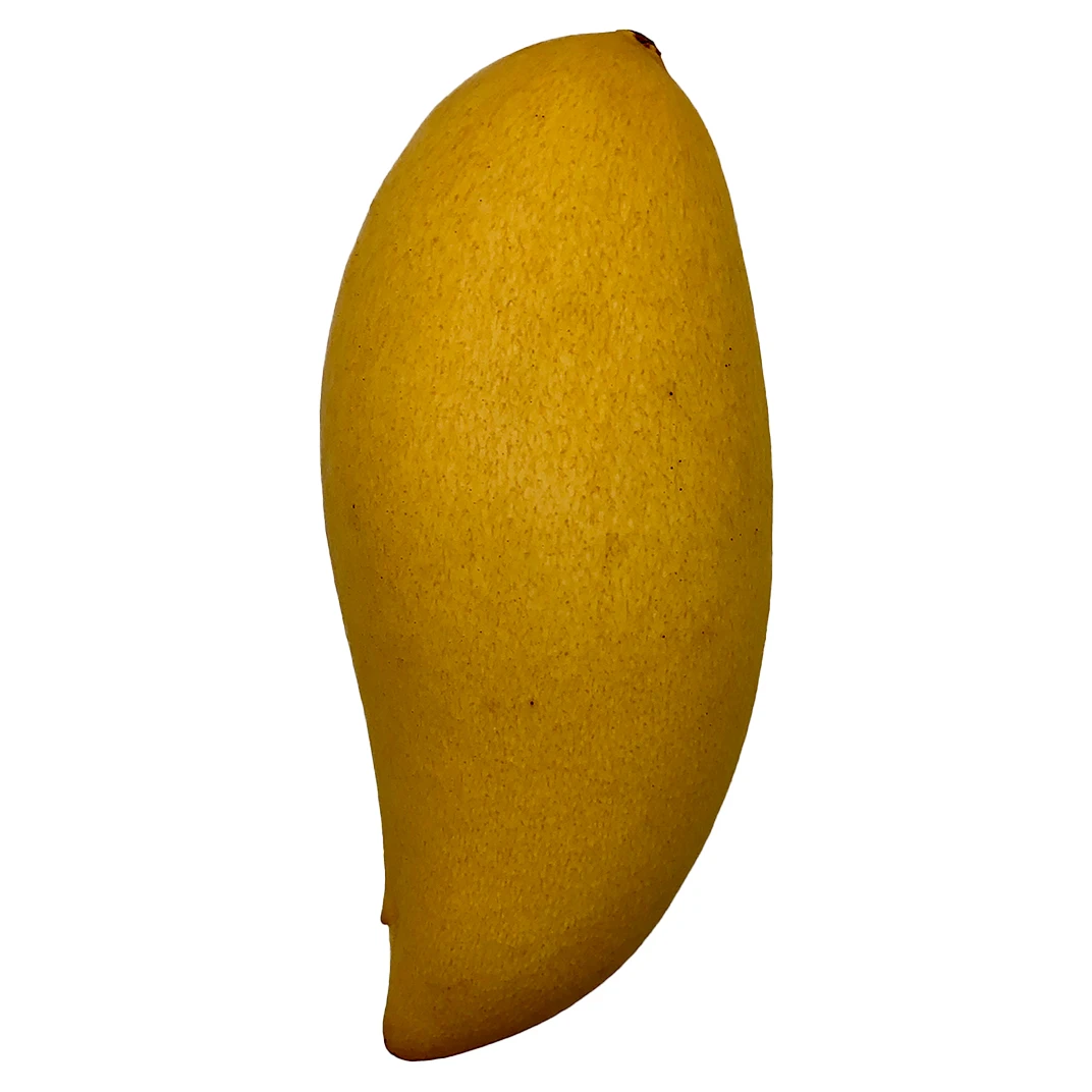 Premium Quality Imported Grade Mangoes Fruit Temperature measuring Top Grade Selecting  for Consuming  from Thailand