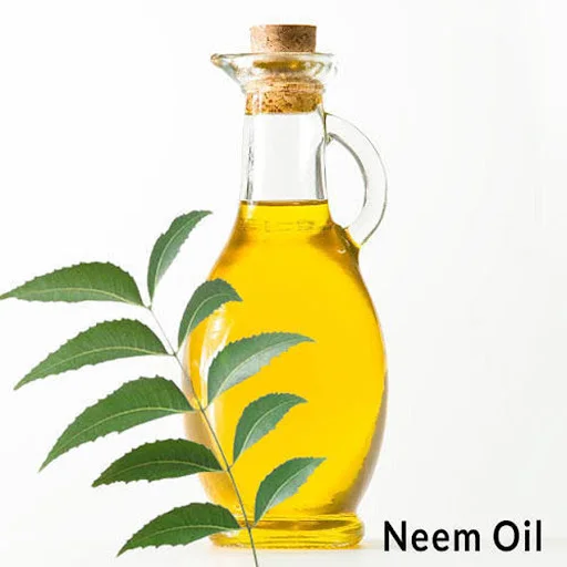 Cold Pressed Pure Neem oil for Reduce Scars from India