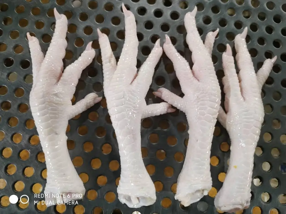 
Chicken feet chicken frozen chicken paw with the best price 2021 
