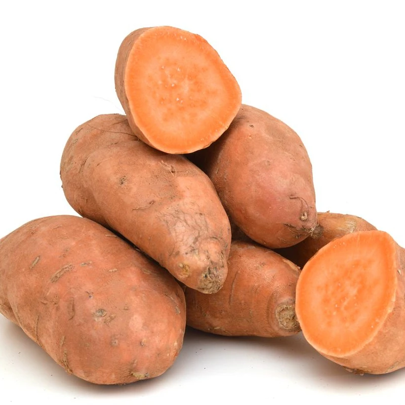 
HIGH QUALITY FRESH SWEET POTATO VIETNAM 