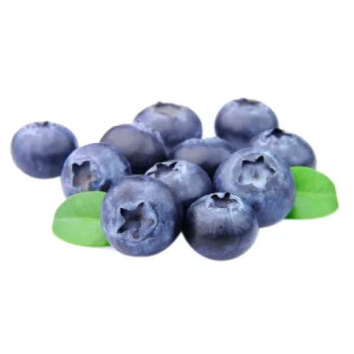 blueberry-500x500.jpeg