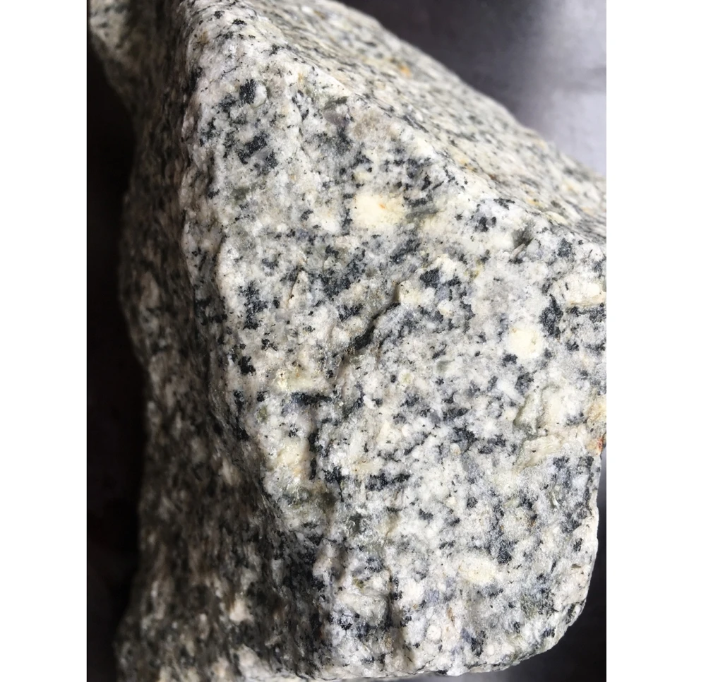 
Vietnam Factory Direct Sale White Black Leopard Granite Natural Stone 