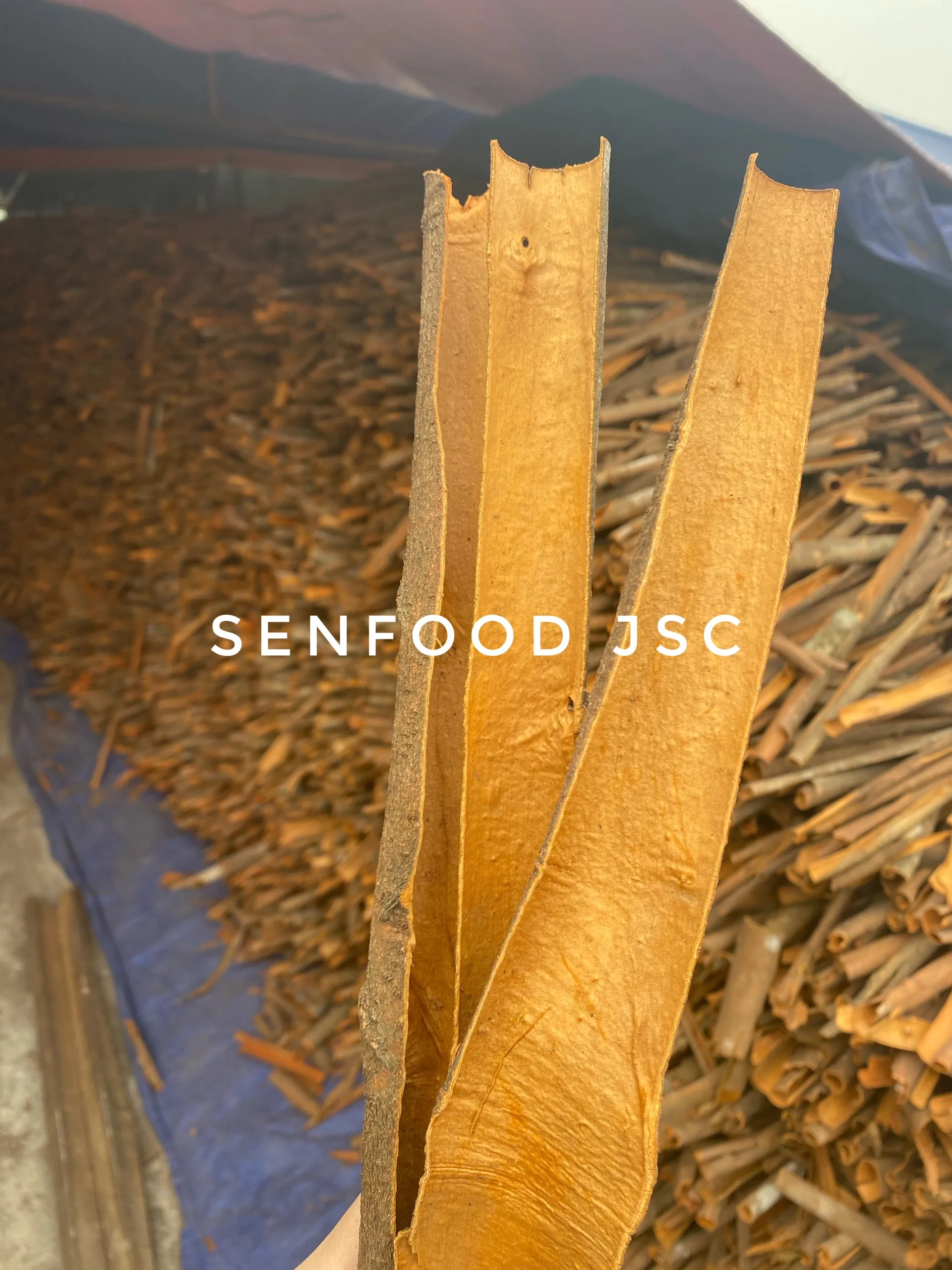 Высококачественная разделенная Корица/разделенная Кассия из Вьетнама CONTACT + 84 934 449 569