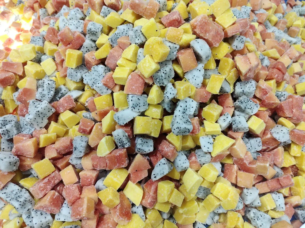 The Best Selling Product - IQF Frozen Mixed Fruit Mango + Red Papaya + White Dragon Fruit Origin Vietnam Export Standard