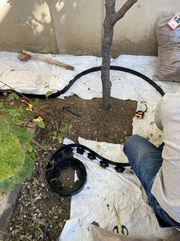 
black plastic garden edging landscape edge garden border edging 