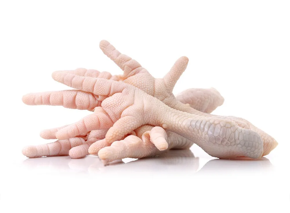 
BUY USA/AUSTRIA FROZEN CHICKEN FEET HALAL CHICKEN PAWS AT WHOLESALE FROM TOP SUPPLIER 