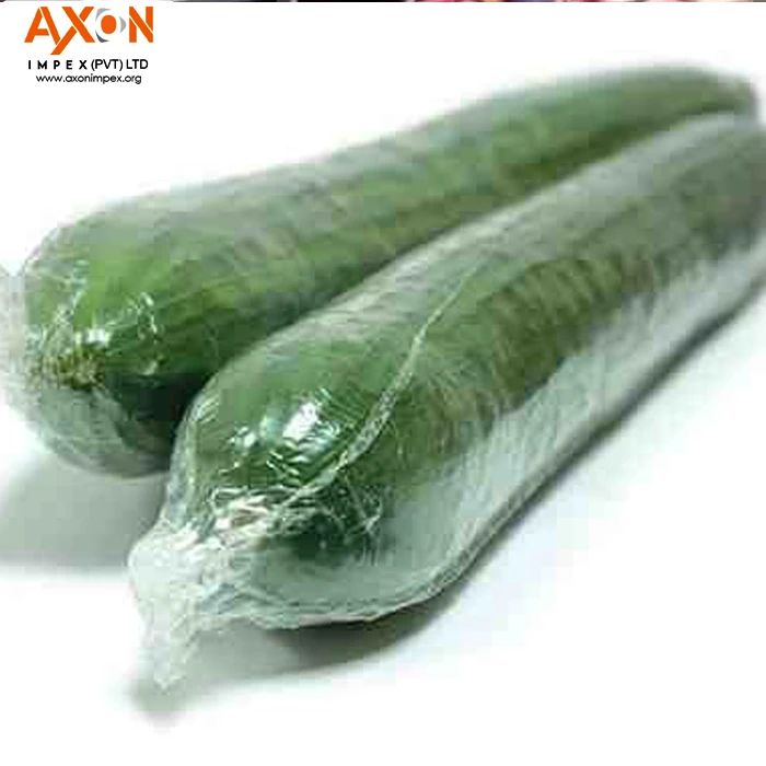 
Hot Selling Best Price Fresh Cucumber for Wholesales/Seasonal cucumber/ Long cucumber 
