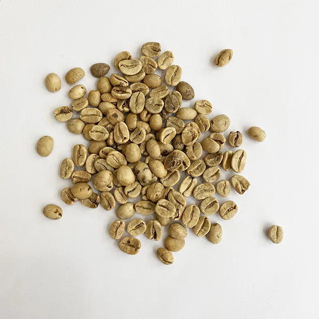 Coffee products green coffee beans robusta fresh coffee beans espresso arabica bean green
