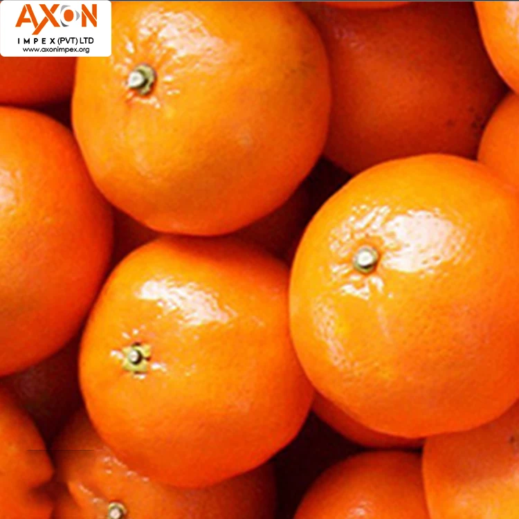 
Best Quality Fresh Mandarin Orange Made In Pakistan with Low Price Clementine, Persmandarijn, Juicy mandarins MANDARIN FROM PAK 