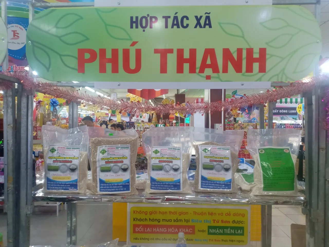 Вьетнам Dai Thom 8 коричневый рис 5% сломанный (DT8) для продажи