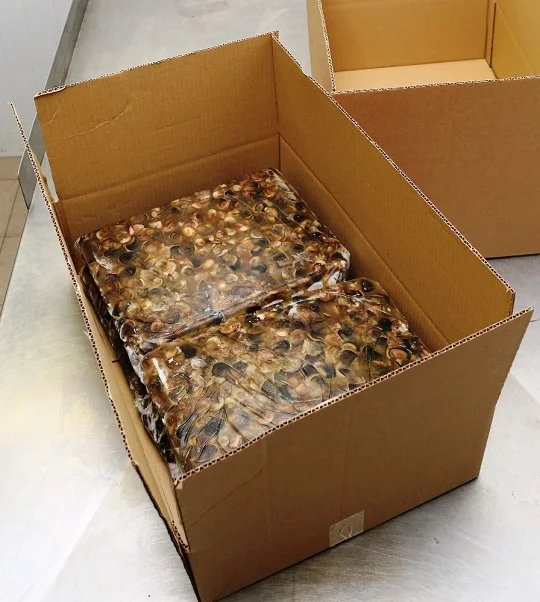 frozen better quality moon snail on sale