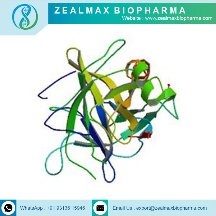 Оптовая цена Заводская поставка химотрипсин ферменты по оптовой цене-Zealmax Biopharma