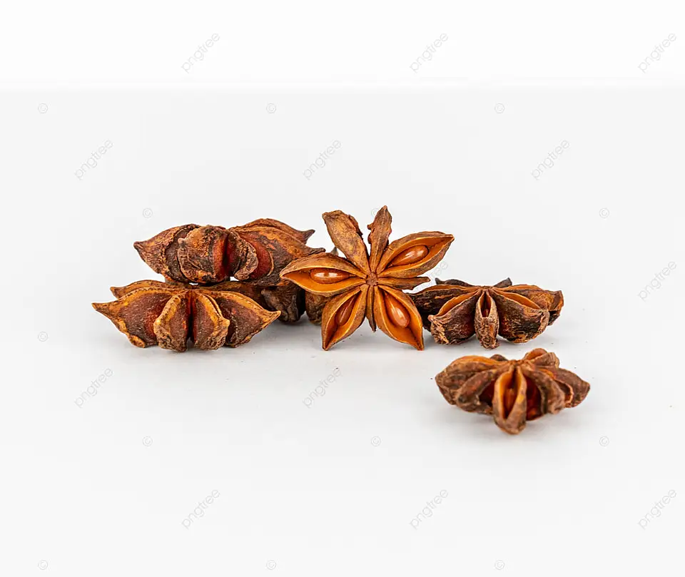 Star Anise Best selling From Vietnam, Natural Sun Dried Star Anise star aniseeds 2022