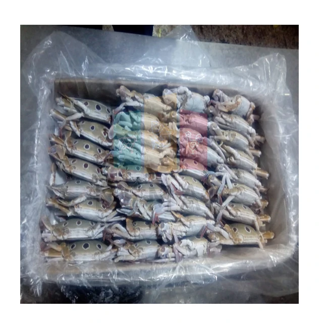 
Frozen 3 Spot Crab Available For Export 