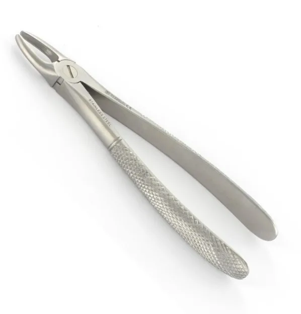 Dental Surgery English Pattern Orthodontic Tooth Extraction Forceps  Fig 29 Upper Jaw Roots Length 17.5 Cm Stainless Steel ISO