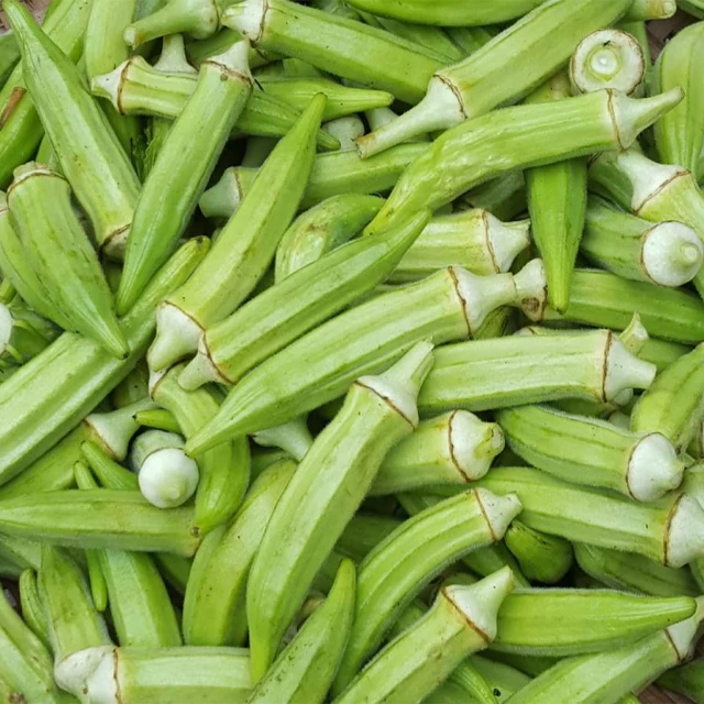 Fresh and Natural Okra (Okro) vegetable / Newly crop and carefully packaged