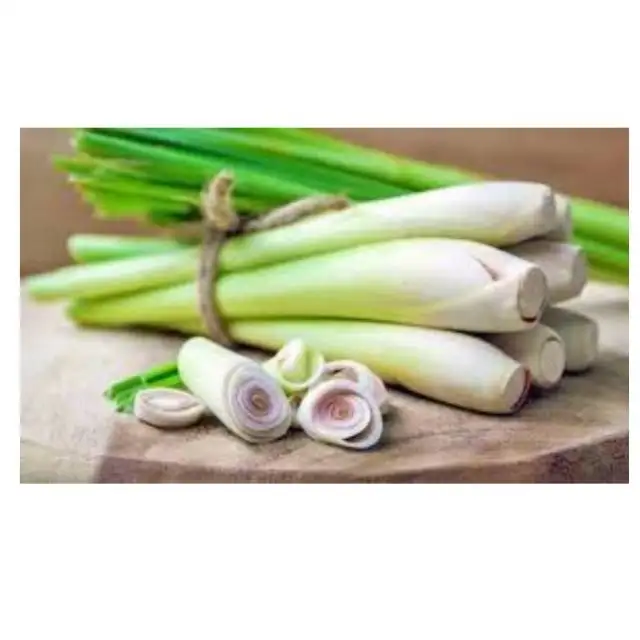 AD Fresh High Quality Super Herbal Organic Dried Lemongrass for Weight Loss of Thai Herbs Agriculture nourishing