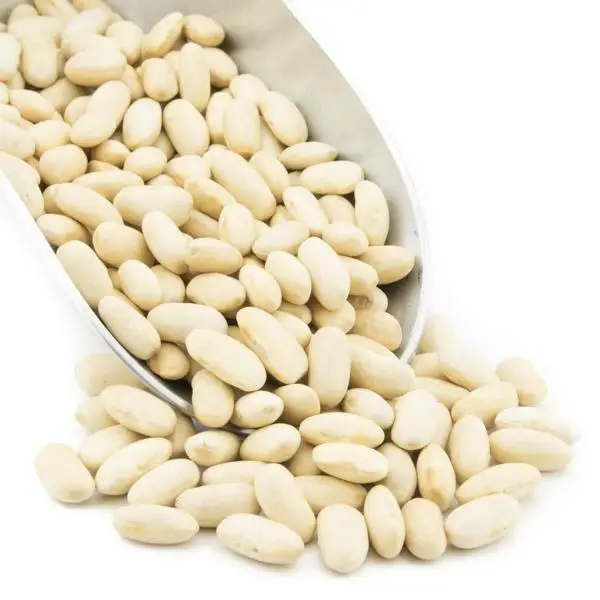 First Grade Dry Lima Beans at best price