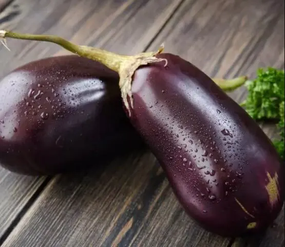 
FRESH LONG PURPLE EGGPLANT IN VIETNAM [Edna +84 919 04 5050] 