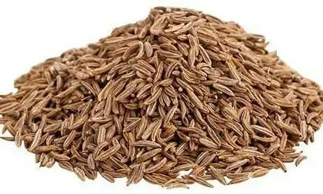 Cumin Seed High Quality Single Spices Cumin Seed And Fennel Seeds Mixed Spices Seasonings from Indian exporter