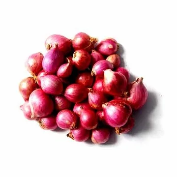 Indian Exports for onion from Arputham exports Podisu onion