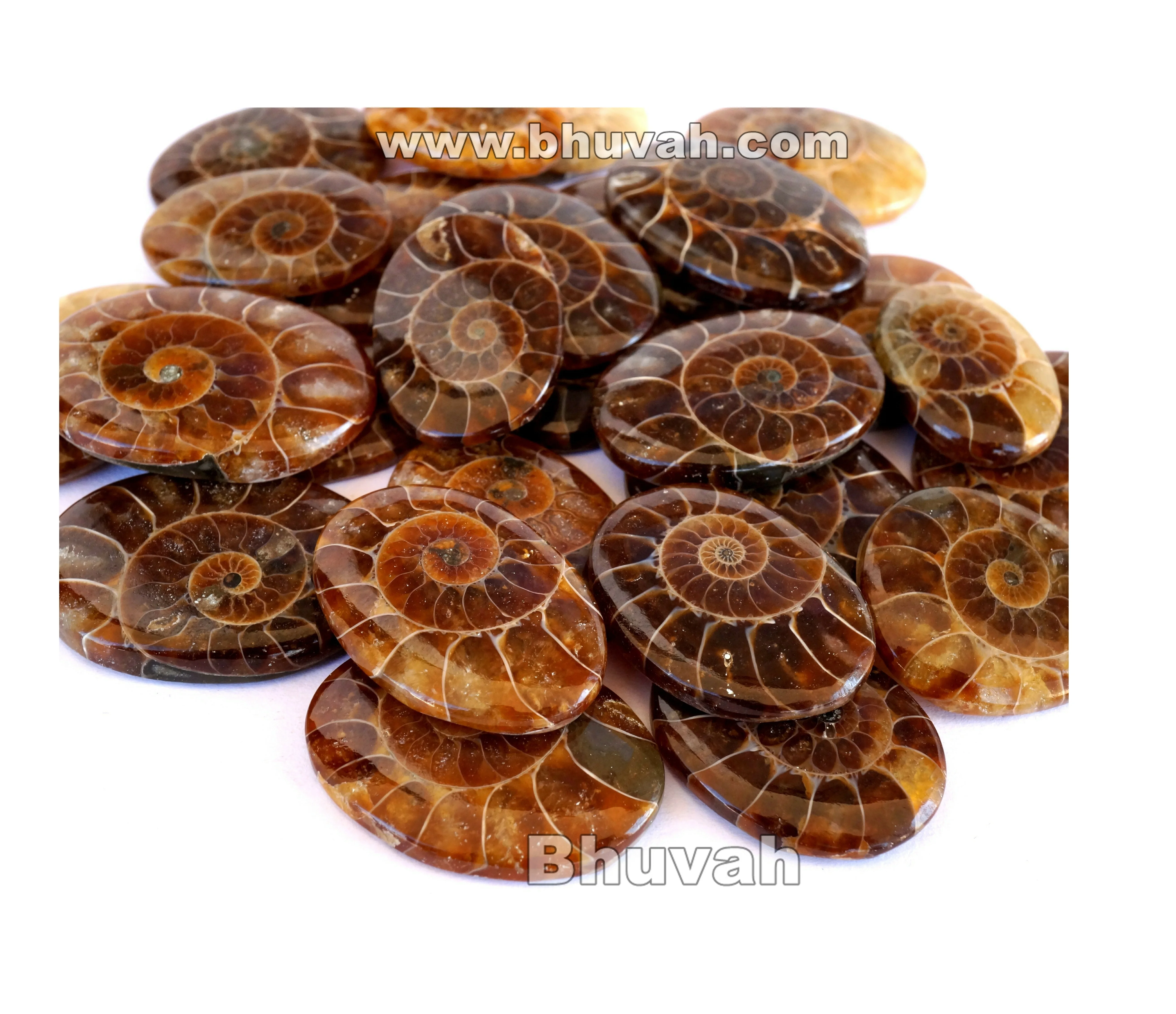 Highest Top Selling Assorted Quality Wholesale Price Bulk Lot Sale Loose Jewelry Gemstone Cabochon Stone Natural Ammonite