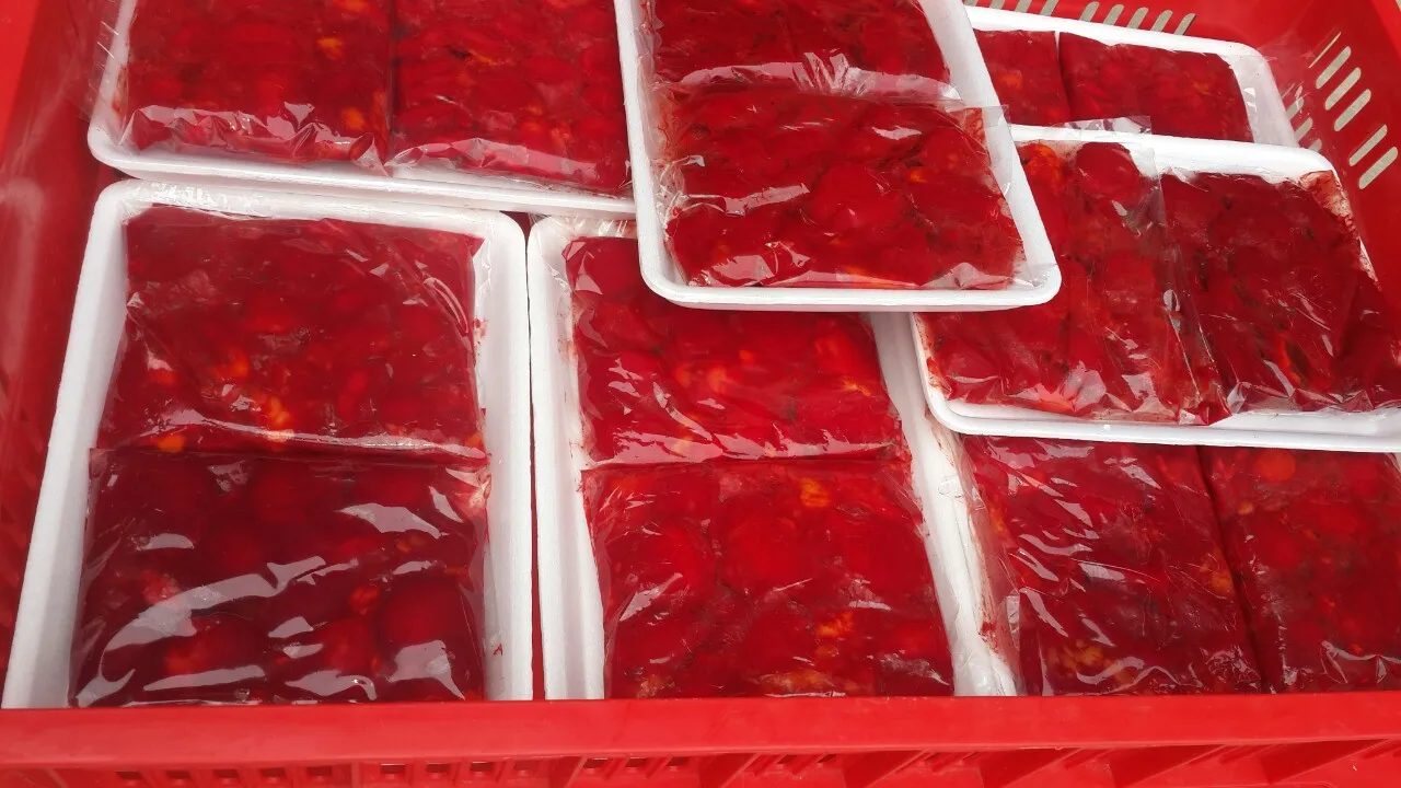 Frozen Gac Fruit puree from Vietnam , Contact +84984418844 whatsapp