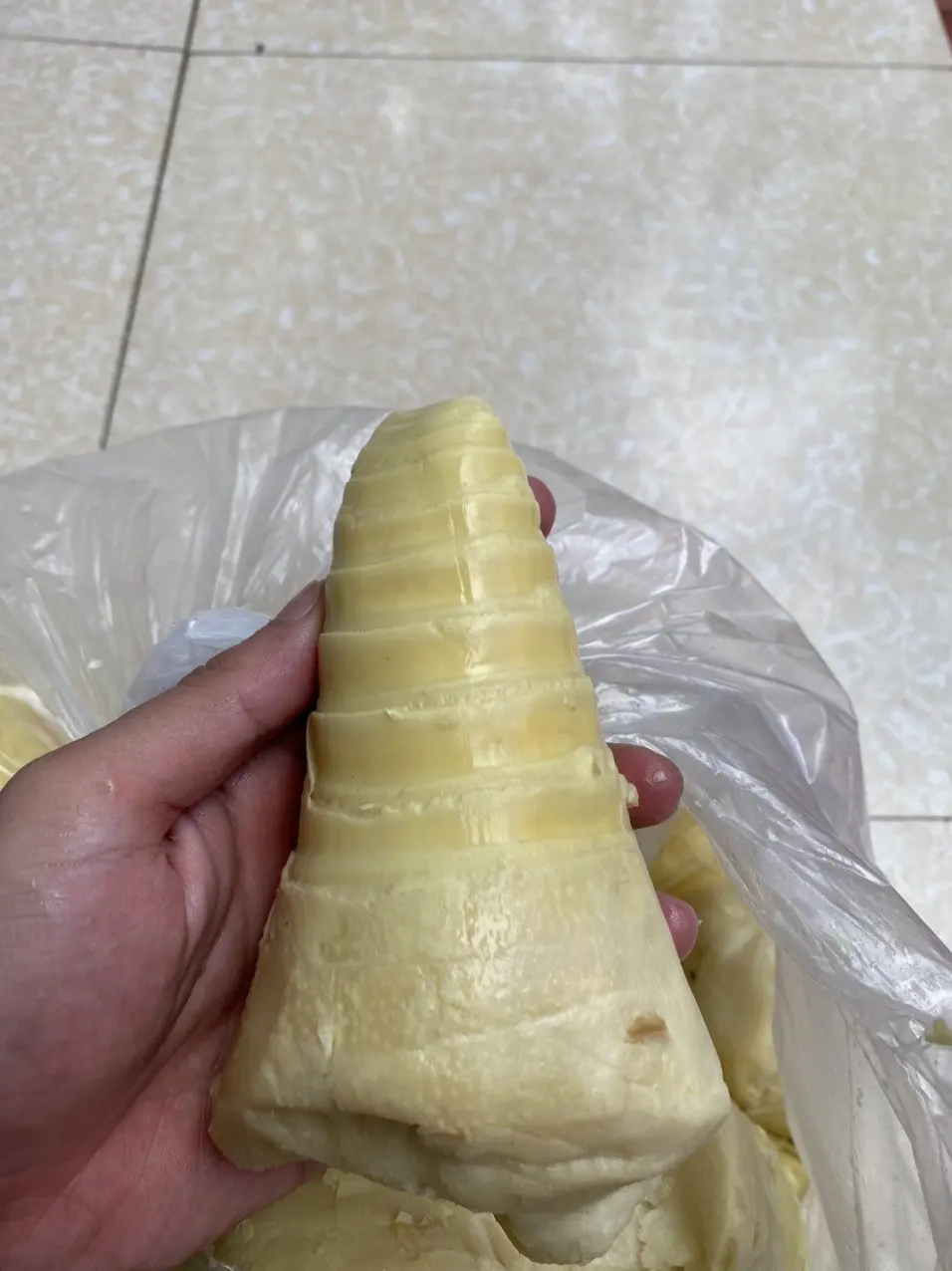 Свежие Бамбуковые съемки/+ 84984418844 whatsapp