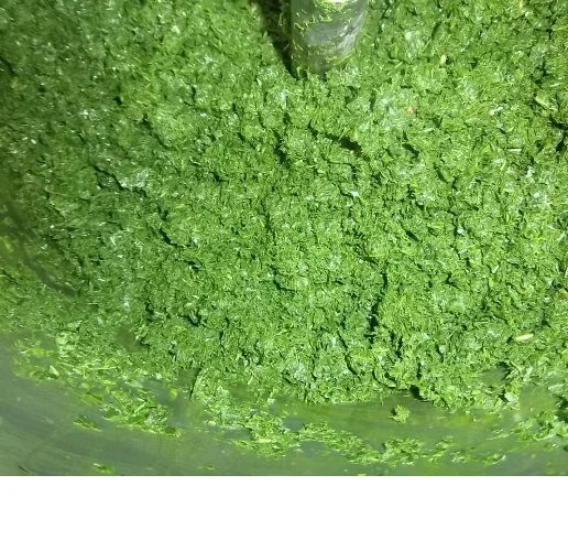 [HOT PRODUCT] Frozen Cassava Leaves/ Pondu in Vietnam   / Ms. Nary (+84 904 183 651)